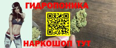 таблы Будённовск