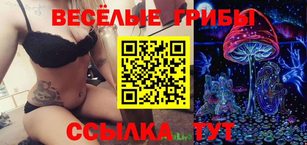Псилоцибиновые грибы мицелий Волоколамск